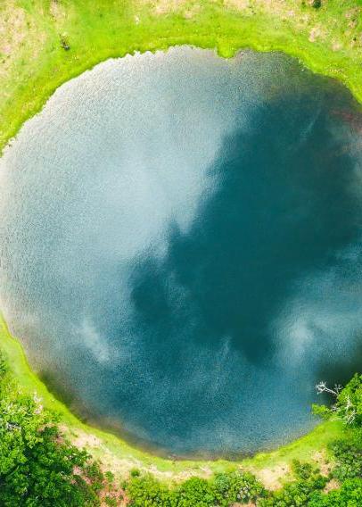 Circular pool of water surrounded by trees